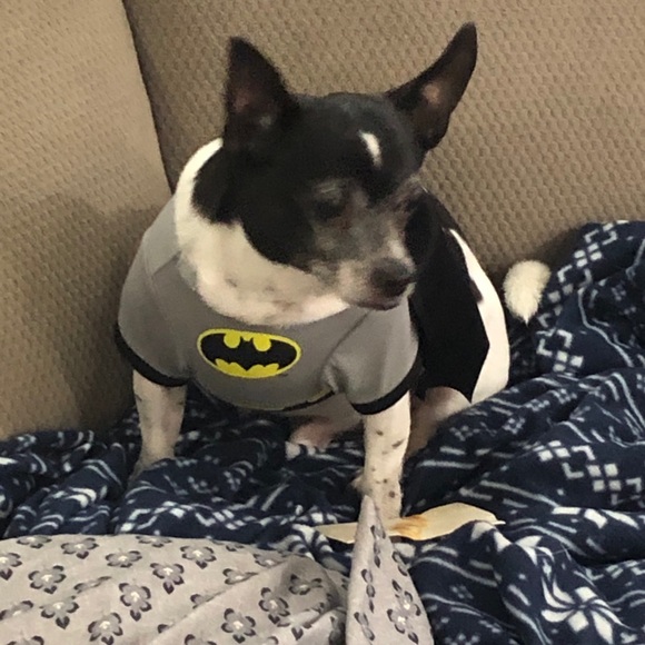 Meet the Posher - Picture 7 of 8